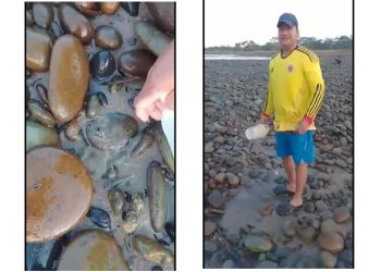 Denuncian a Isagen por mortandad de peces en el río Sogamoso