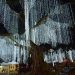 Iluminación navideña en siete circuitos caminables de Bucaramanga