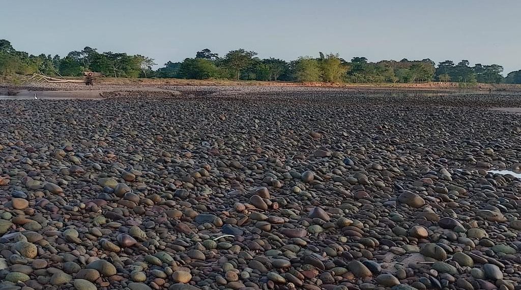 Anla le pidió explicaciones a Isagen por mortandad de peces