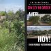 Denuncian arboricidio en Barichara