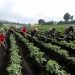 Anuncian paro campesino contra Ley de Páramos