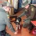 Así ubicaron a Kira, la perrita que corría detrás de un taxi