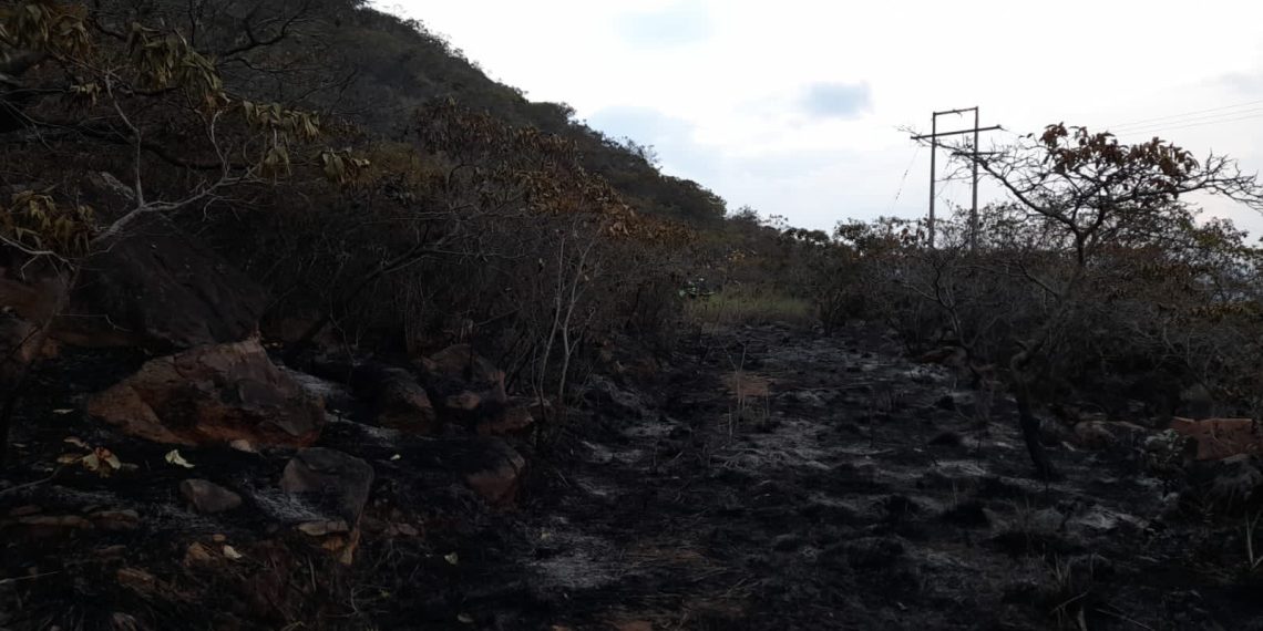 Liquidaron incendio forestal en Chocoa, Girón