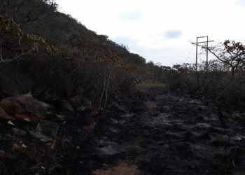 Liquidaron incendio forestal en Chocoa, Girón