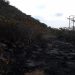 Liquidaron incendio forestal en Chocoa, Girón