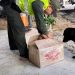 Policía Santander incautó 9.269 gramos de marihuana