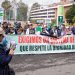 Educadores radicarán este martes los pliegos de peticiones