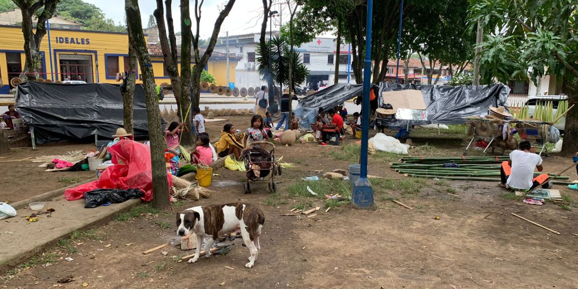 Indígenas se tomaron el parque Romero y el Puente de la Novena