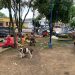 Indígenas se tomaron el parque Romero y el Puente de la Novena