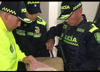 Más de 600.000 dosis de marihuana incautó la policía