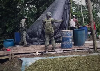 Desde Bucaramanga, DEA y policía dieron golpe a narcotraficantes