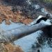 Ecopetrol rechaza ataques a la infraestructura en Arauca
