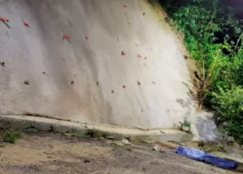 Una joven murió al caer de un muro en barrio el Carmen