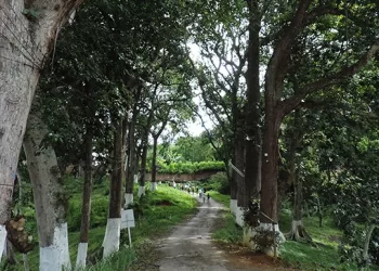 ¿Cuál podría ser el impacto de la intervención de los cerros orientales de Bucaramanga?