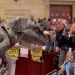 Un “dinosaurio” irrumpió en la plenaria de la Cámara de Representantes