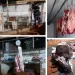 Asonada en corregimiento el Centro por desmantelamiento de “matadero” clandestino en Barrancabermeja