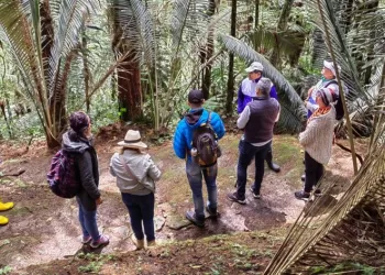 La CDMB define la cantidad máxima de turistas de naturaleza en las áreas protegidas