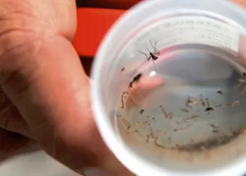 El dengue sigue en aumento en Bucaramanga