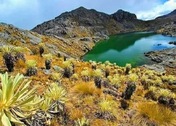 Procuraduría anuncia estrategia con mineros para la delimitación del páramo de Santurbán