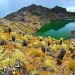 Procuraduría anuncia estrategia con mineros para la delimitación del páramo de Santurbán