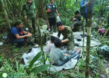 Con vida, hallaron a los niños perdidos en la selva del Guaviare