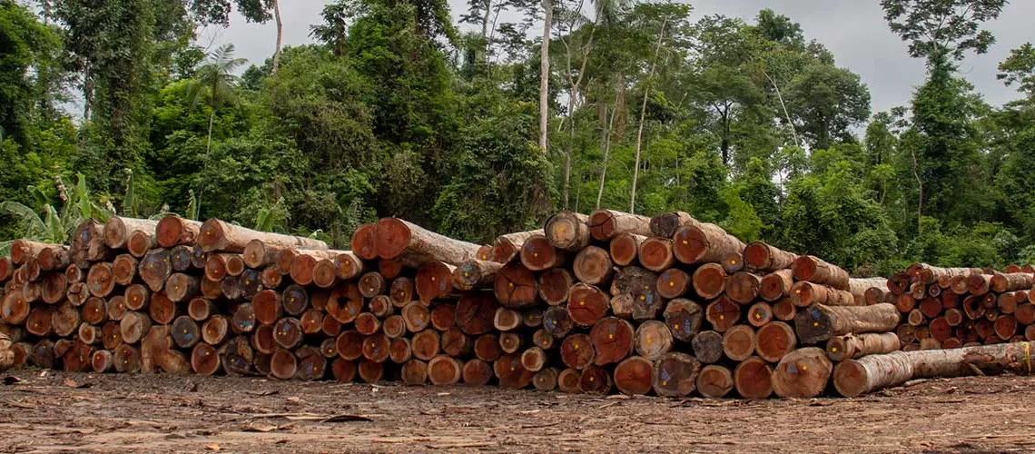 Deforestación en Colombia se redujo 29,1% en 2022, la cifra más baja desde 2013