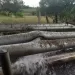 Ecopetrol activa plan de contingencia en la zona de Cira infanta y el Centro de Barrancabermeja
