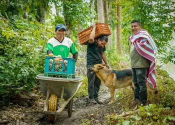El Gobierno Nacional tiene abierta la convocatoria para implementación de proyectos productivos en todo el país