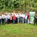 Santander, primer productor de cacao en el país, renueva los cultivos envejecidos