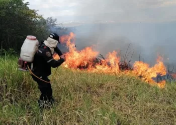 30 hectáreas de vegetación consumió el incendio en veredas de Piedecuesta