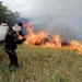 30 hectáreas de vegetación consumió el incendio en veredas de Piedecuesta