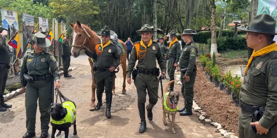 Emotiva despedida de gratitud para Tatys, Cart y Gamazon: tres héroes de cuatro patas