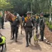 Emotiva despedida de gratitud para Tatys, Cart y Gamazon: tres héroes de cuatro patas