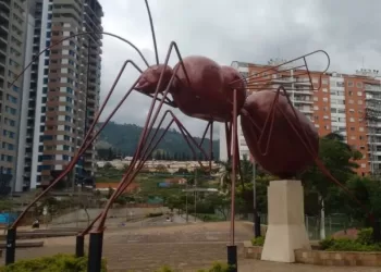 Otra víctima mortal de la intolerancia en Bucaramanga