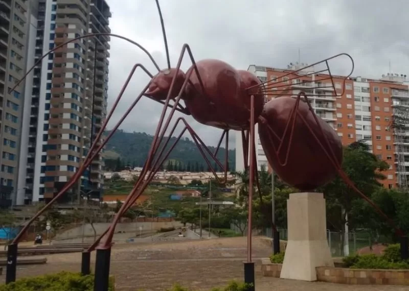 Otra víctima mortal de la intolerancia en Bucaramanga