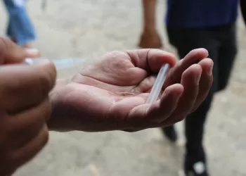 En Bucaramanga se notifican 49 casos de dengue por semana