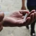 En Bucaramanga se notifican 49 casos de dengue por semana