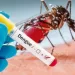 Autoridades de salud piden estar atentos frente al dengue y consultar oportunamente