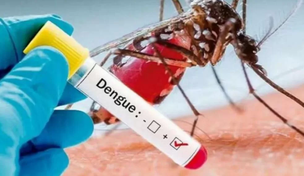 Autoridades de salud piden estar atentos frente al dengue y consultar oportunamente