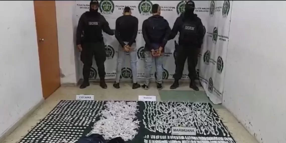 Policía logra golpe importante al tráfico de estupefacientes en zona boscosa de Bucaramanga