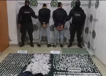 Policía logra golpe importante al tráfico de estupefacientes en zona boscosa de Bucaramanga