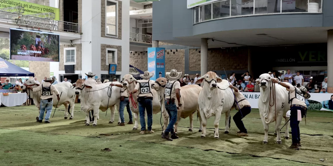 Desde Bucaramanga se llevará a cabo la versión 73 de la feria ganadera 2023
