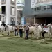 Desde Bucaramanga se llevará a cabo la versión 73 de la feria ganadera 2023