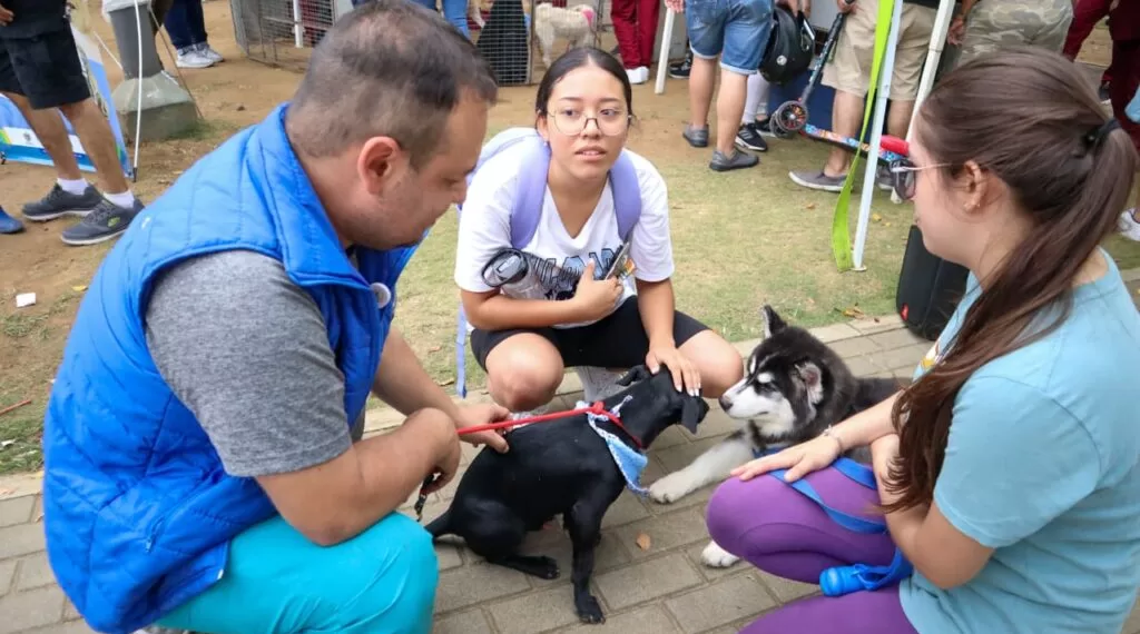 La Feria Bonita también tiene espacio para adopción de los peluditos