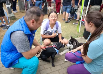La Feria Bonita también tiene espacio para adopción de los peluditos
