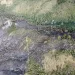 Cerca de 25 municipios en Santander están en riesgo de desabastecimiento de agua