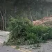 Son fallas geológicas y humanas, mas no técnicas, sobre el derrumbe en vía a Barrancabermeja”, Ing. Rodrigo Fernández