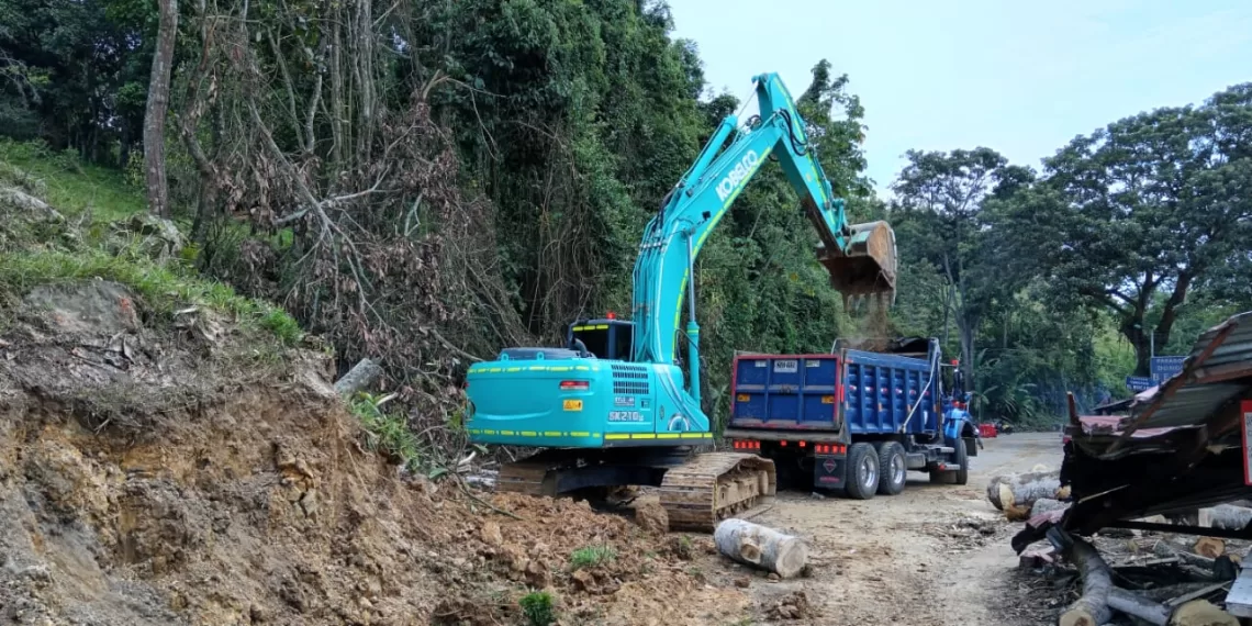 Iniciaron trabajos para recuperar la Ruta del Cacao