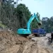 Iniciaron trabajos para recuperar la Ruta del Cacao