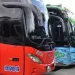 Transportadores piden activar pólizas de seguro al 100% en las elecciones
